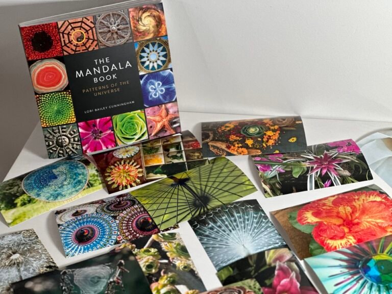 The Power of Revisiting Journeys. Engaging in a Parallel Journey. An educator sits at a low table beside a child, documenting the child’s drawing in a notebook. Photos, sketches, and notes are displayed on the wall, showing the progression of the child’s ideas over time. The scene emphasizes chronicling as a way to make children’s learning visible—capturing questions, theories, and creative expressions as they revisit and expand their ideas."